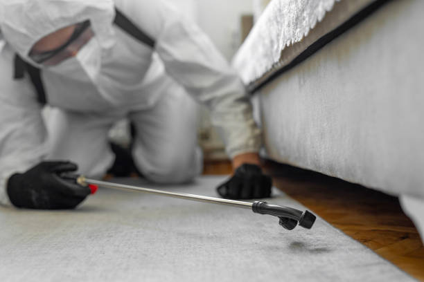 Professional Termite Control technician working in Madelia, MN