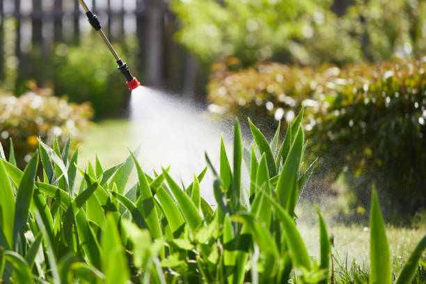 24/7 Emergency Termite Control experts in Madelia, MN